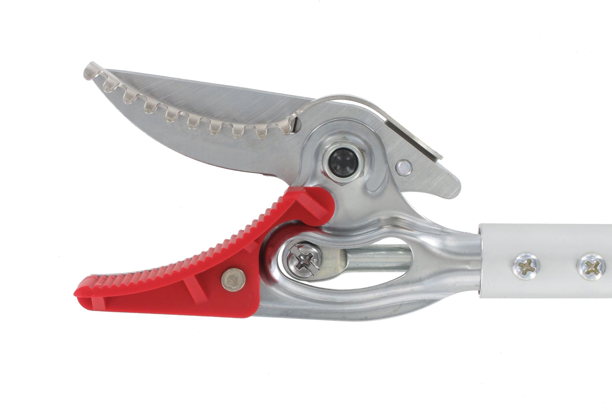 ARS Tools Rose pruning shears 600 mm Long reach pruners 2garden